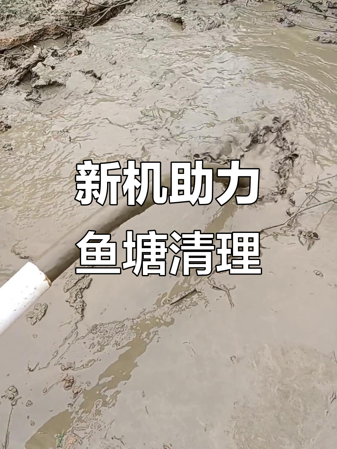 鱼塘清淤新突破,泥浆抽吸更高效
