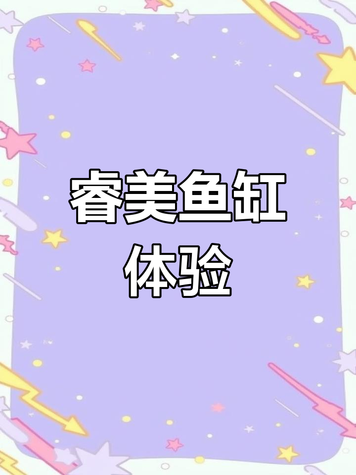 睿美水族：打造理想鱼缸，享受清新水质