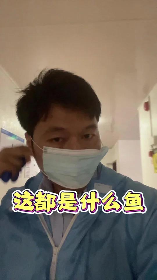鱼类之最
