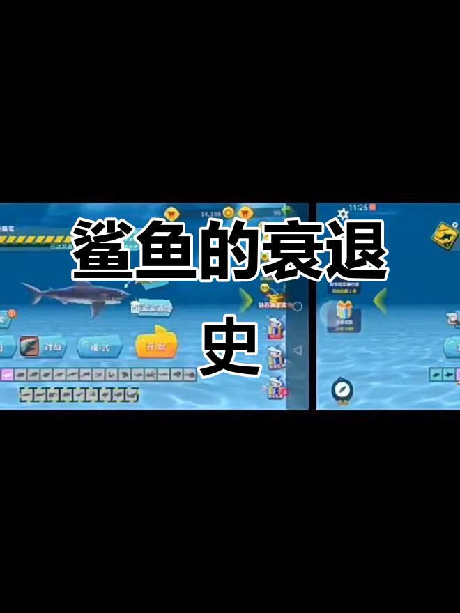鲨鱼强弱变迁:从饥饿到退化