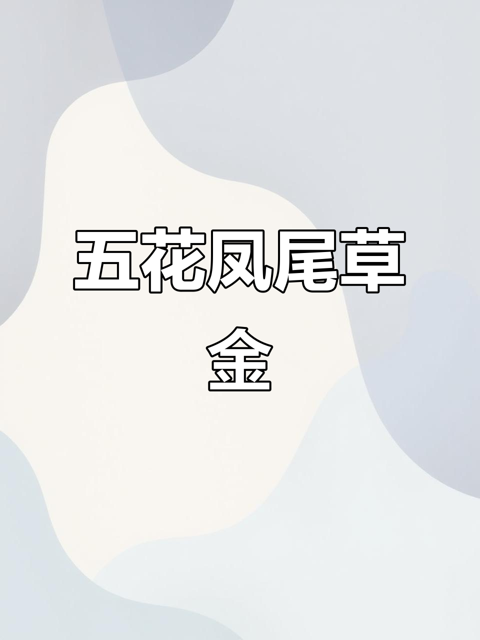 凤尾草金五花系列，传统金鱼魅力满满