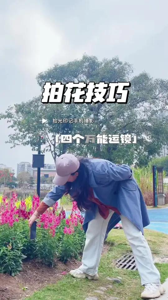 金鱼草花又开了,姹紫嫣红,试试这五个运镜,美爆你的朋友圈