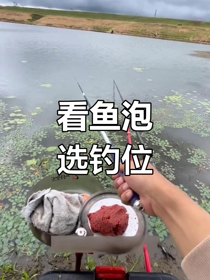 钓鱼技巧:如何通过鱼泡判断水底情况