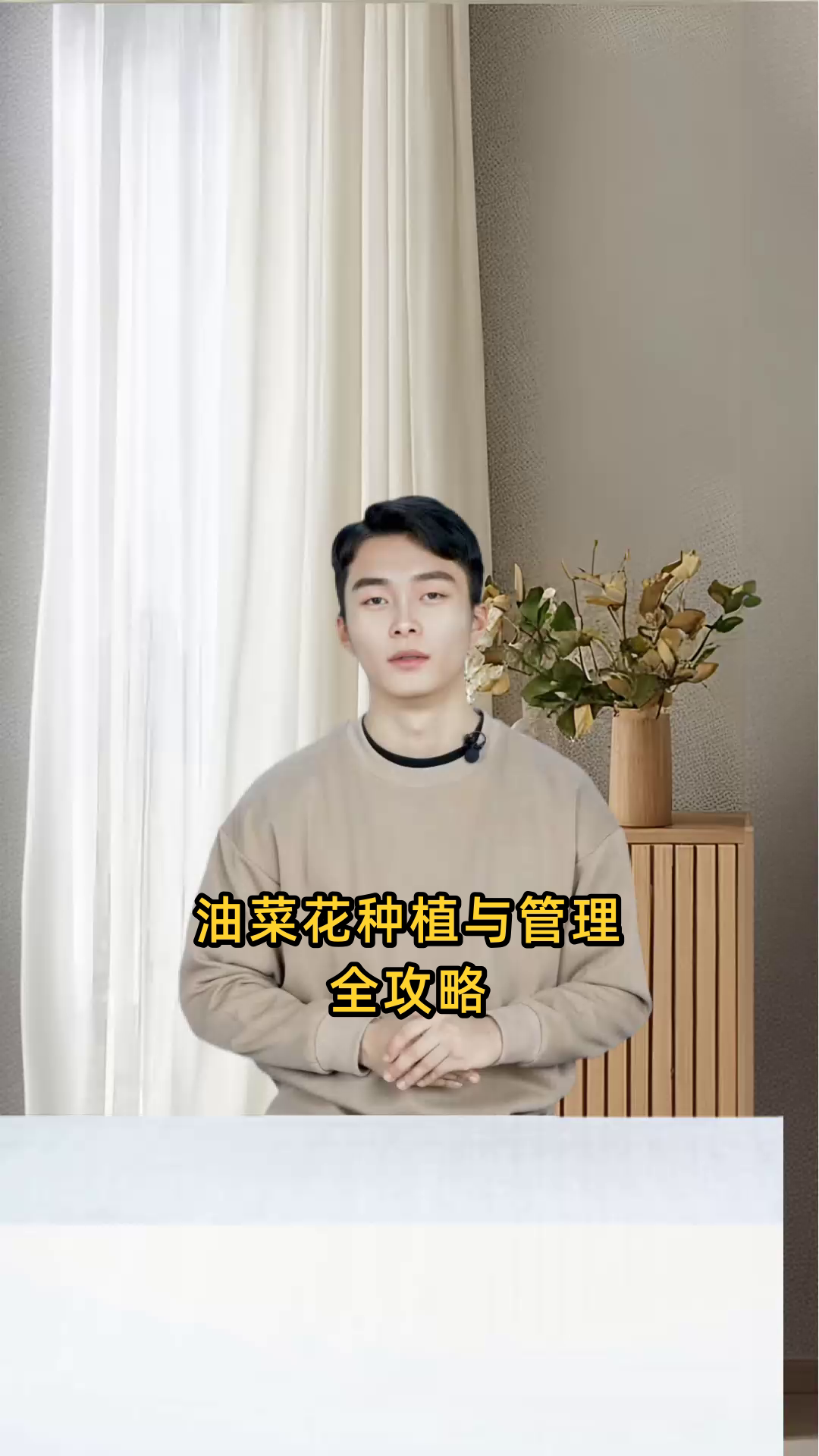 油菜花种植与管理全攻略:从选种到收割的详细程式