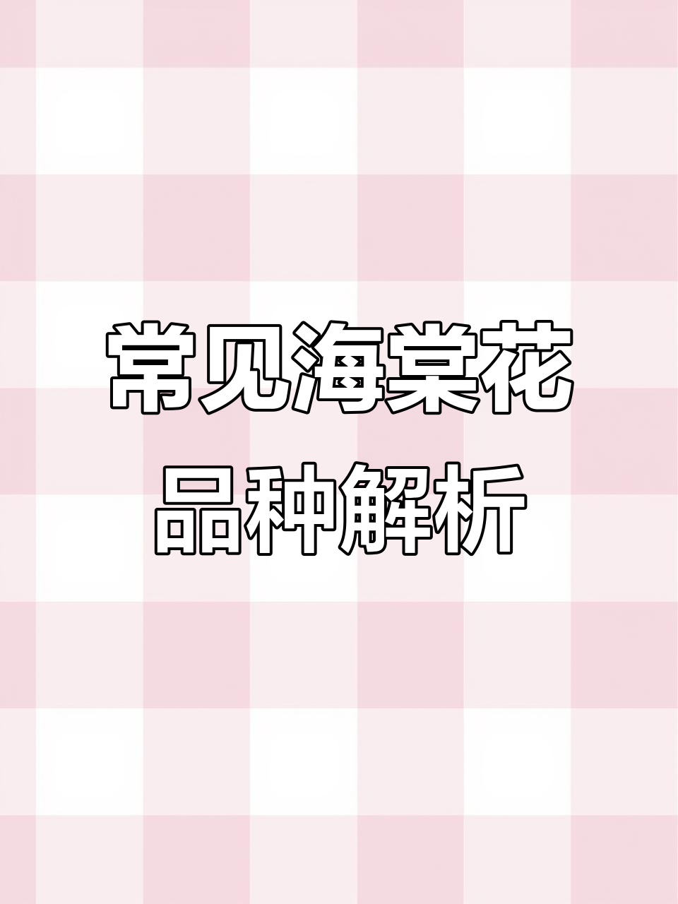 海棠花的各种品种,哪种最受欢迎?