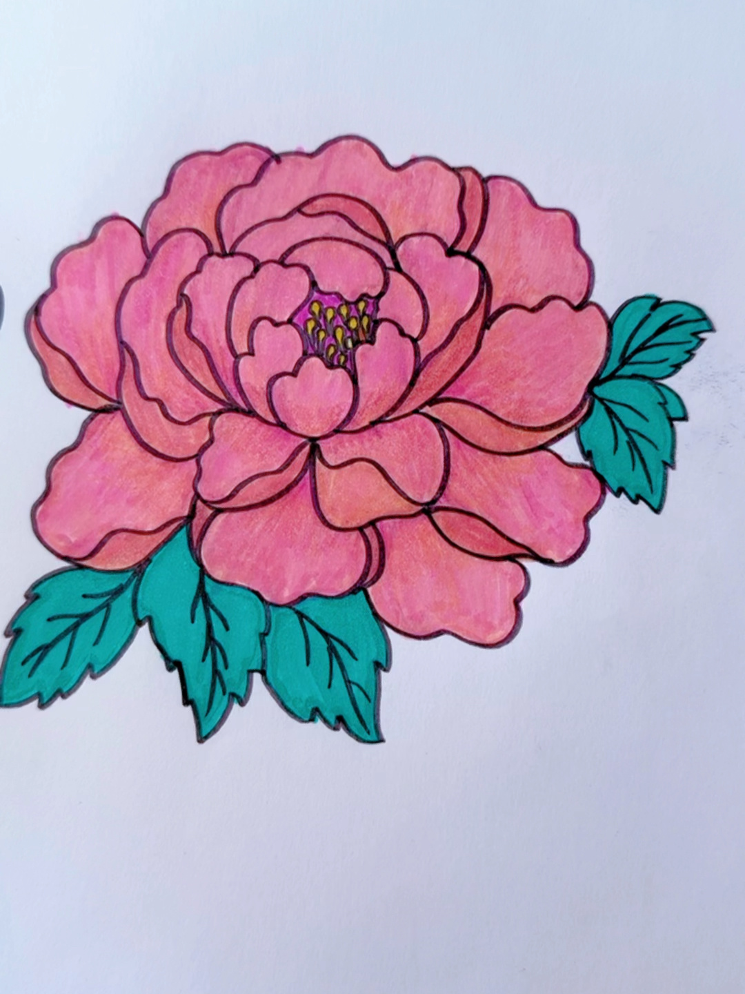牡丹花简笔画