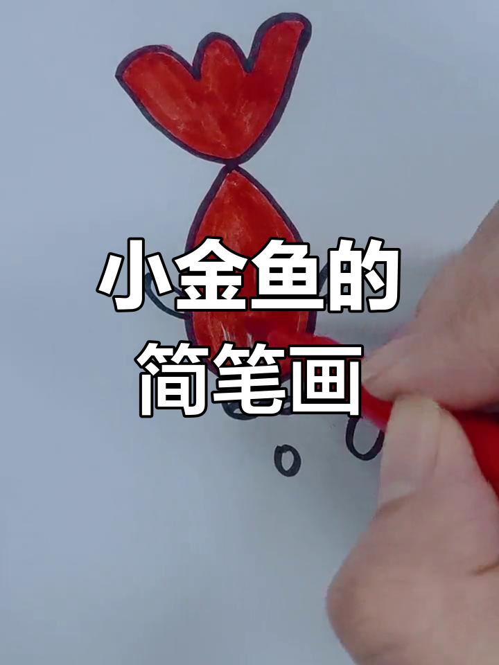 简单几步画出小金鱼