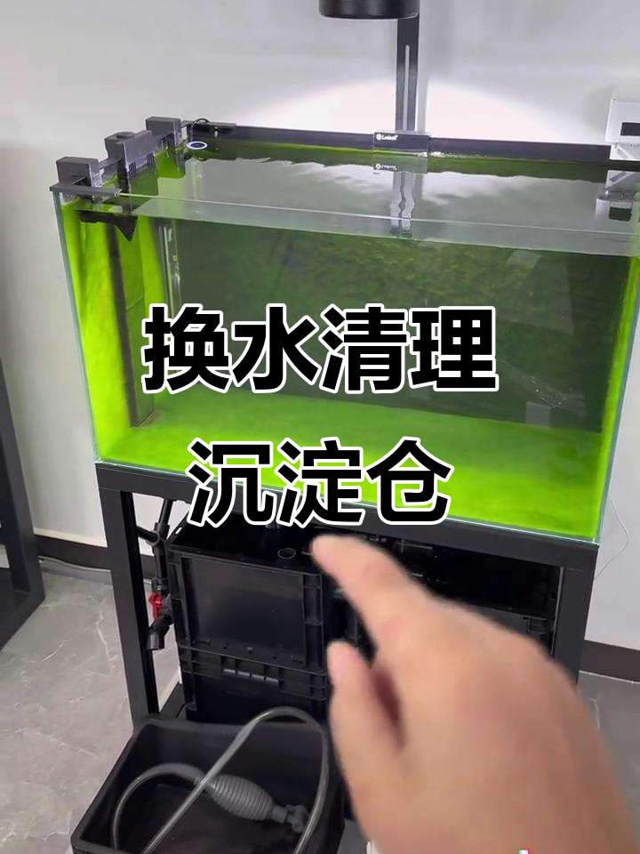 清理鱼缸沉淀仓,换水神器让清洁更轻松