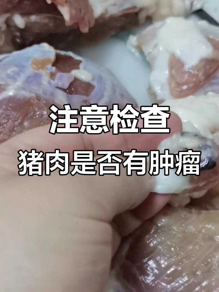 买猪肉时注意这些肉瘤,千万别吃!
