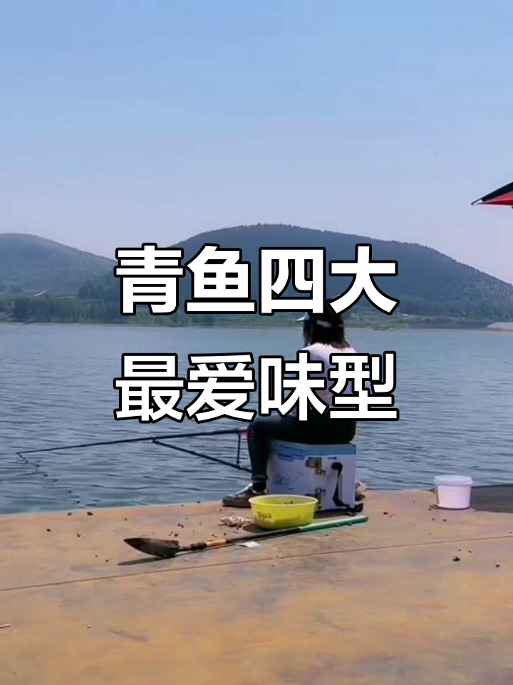 青鱼最爱的四种味型饵料,钓获必备秘制配方