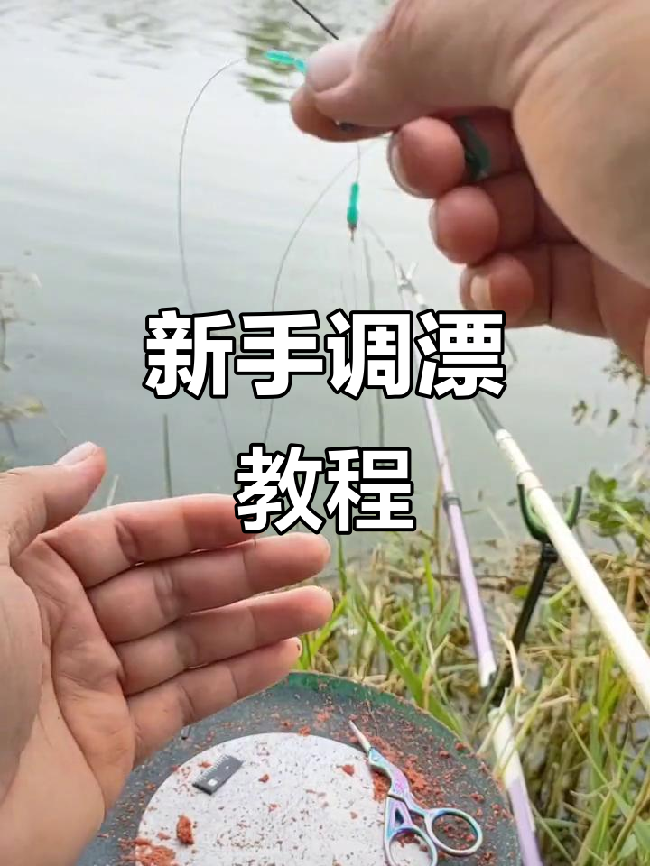 调漂技巧大揭秘,新手必学!如何调整浮漂到最佳状态