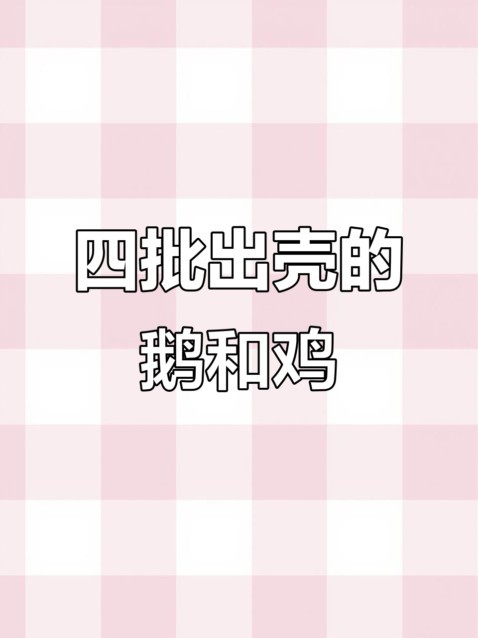 鹅蛋孵化全过程：从啄壳到夭折，揭秘四批小生命的成长
