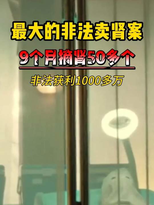 肾多少钱一斤