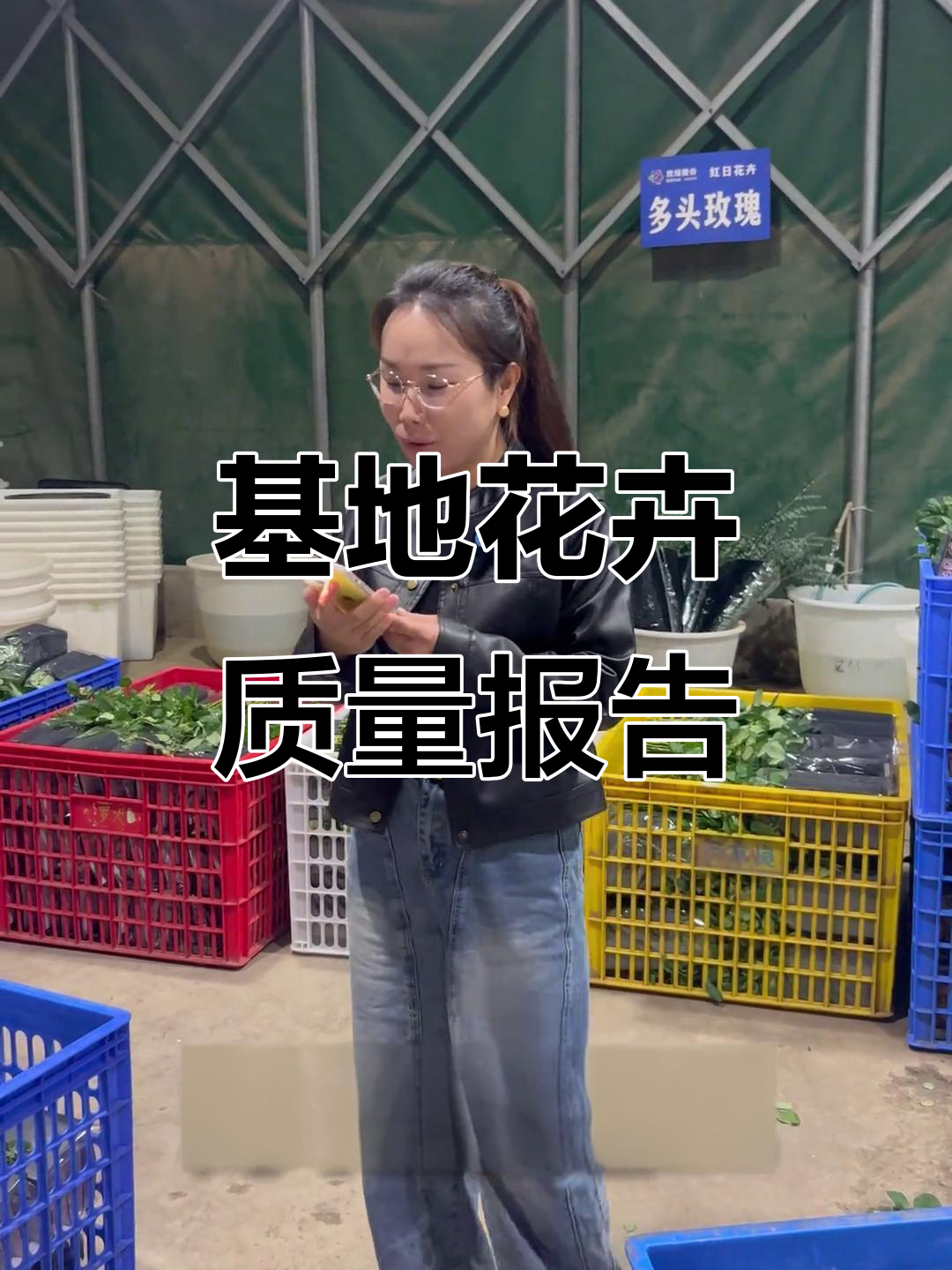 9月29日基地鲜花到货,大花海洋与嫣然玫瑰质量评测