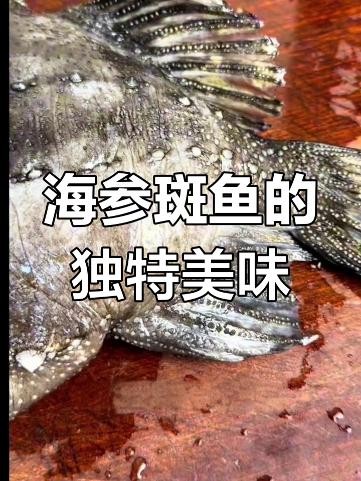 冰岛海参斑鱼:鲜美无刺,轻松烹饪