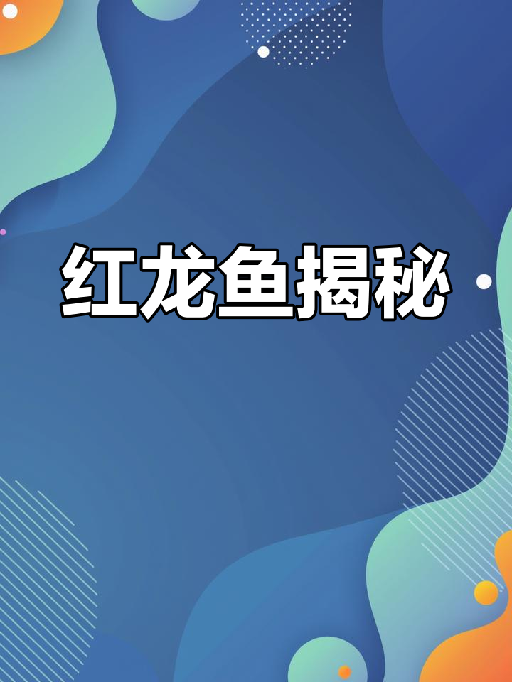 印尼红龙:神秘水族珍宝,观赏价值极高