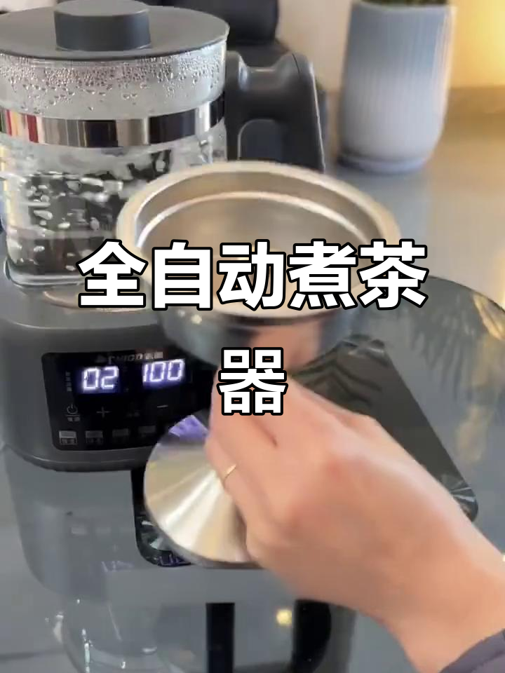 志高全自动煮茶壶,保温蒸汽功能,养生花茶轻松享受
