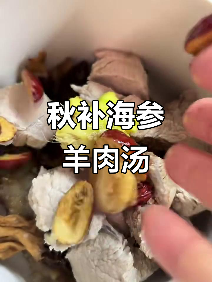 海参羊肚菌炖瘦肉,滋补秋季营养满满