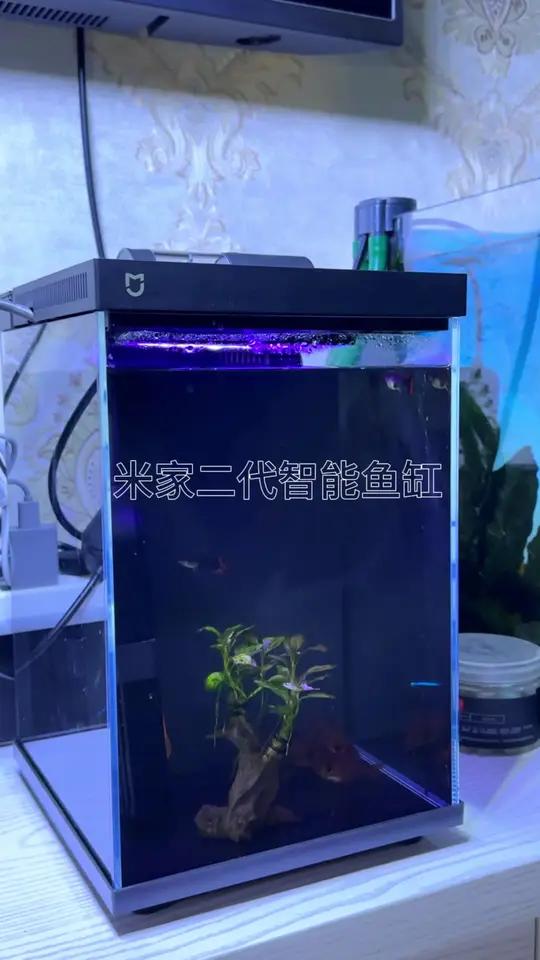 不愧是雷总小米旗下的米家鱼缸,智能做的真好