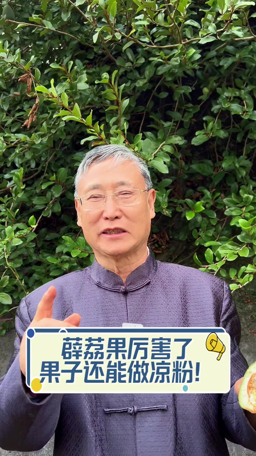 薜荔果厉害了,果子还能做凉粉!
