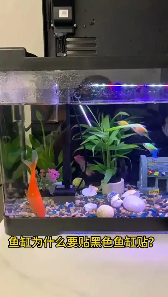 鱼缸背景贴纸黑色白色后景专用蓝白壁纸底部纸板草缸自粘贴 鱼缸背景纸 鱼缸造景贴纸 鱼缸贴膜