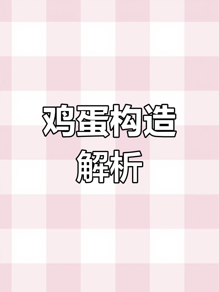 鸡蛋的内部结构揭秘