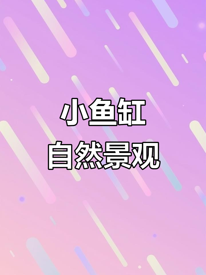 50厘米小鱼缸造景，火山石、溪流沙打造自然生态