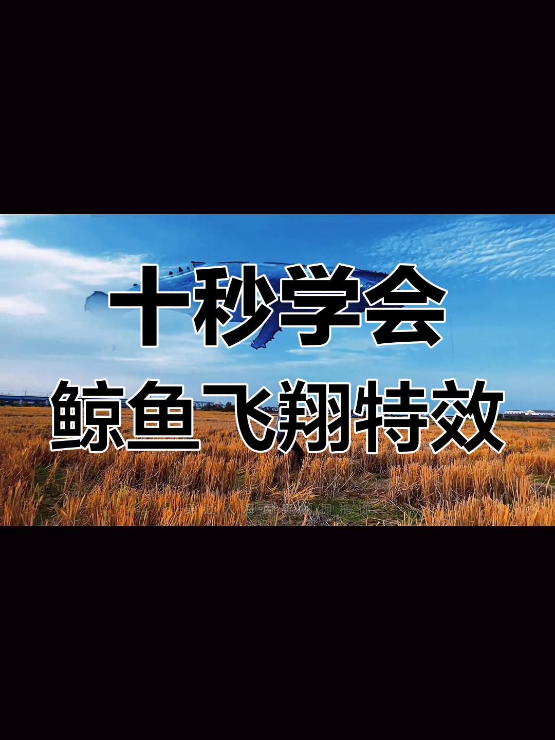 鲸鱼穿越云层,轻松制作遨游天空效果