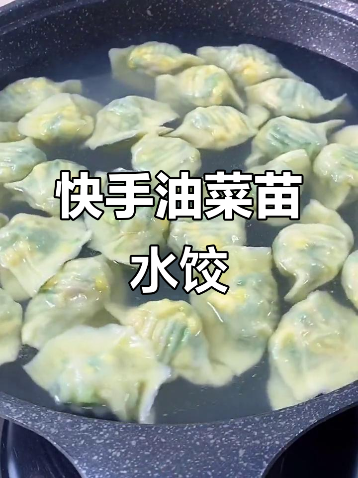 油菜苗水饺,一块钱做一锅比肉饺子还营养