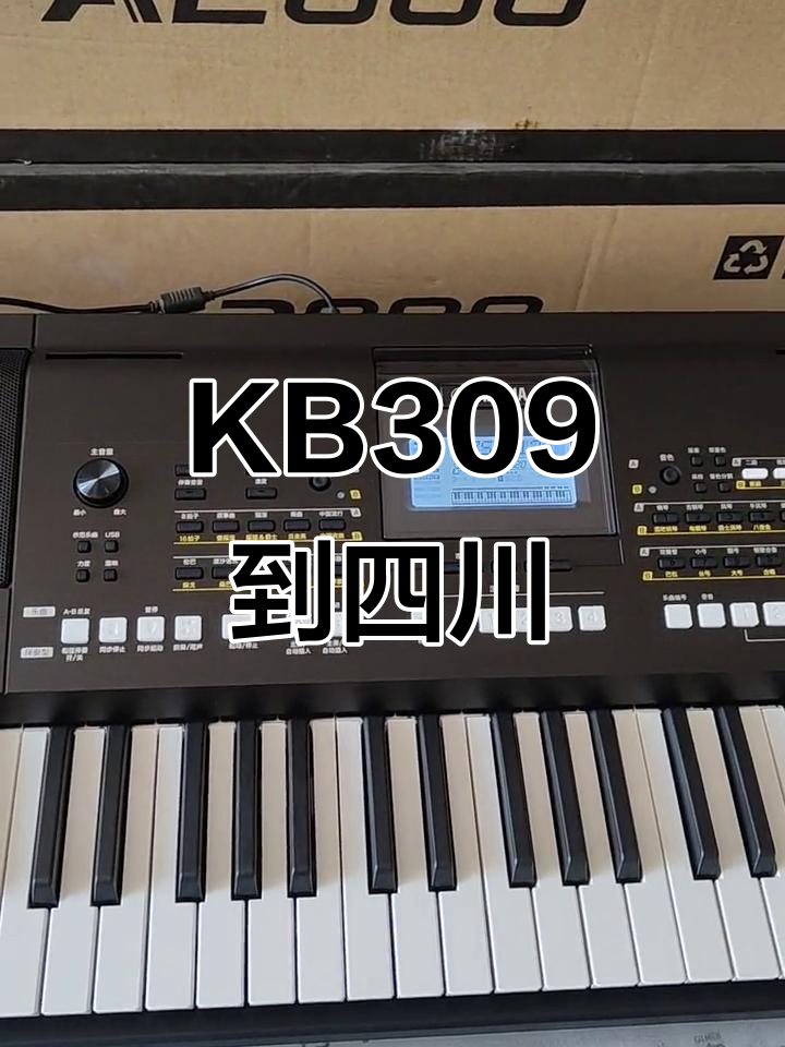 9月雅马哈KB309电子琴节奏包安装,感谢四川朋友