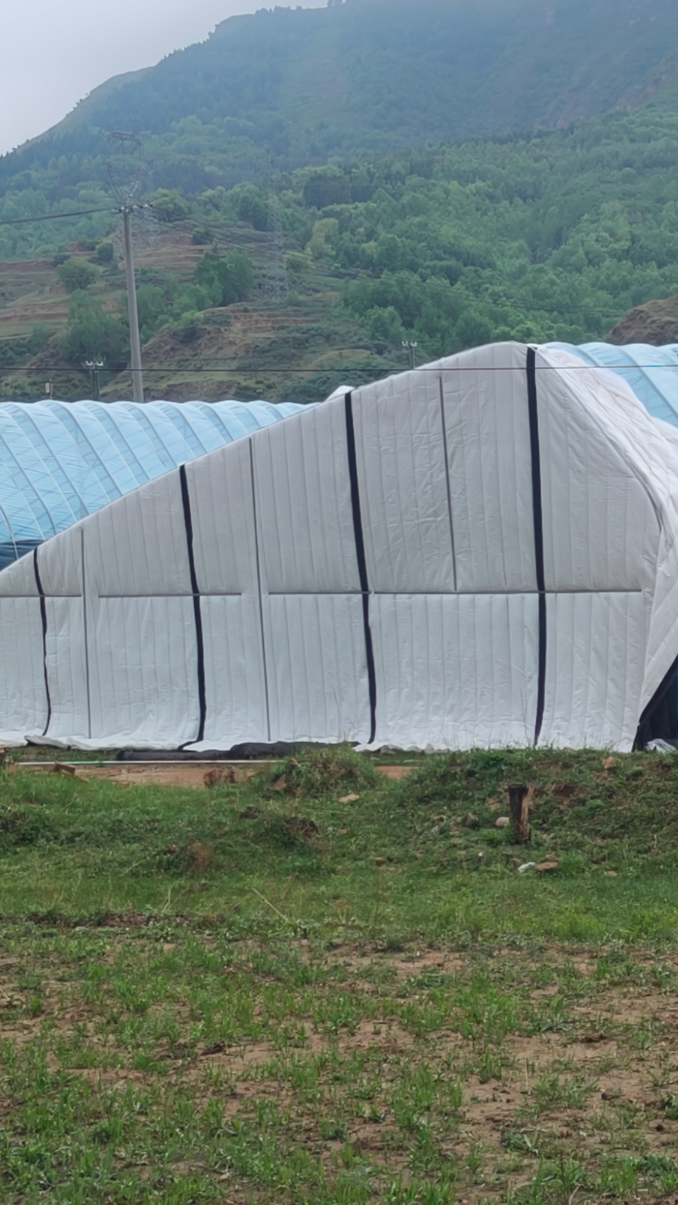 三面墙体 半坡式蔬菜种植大棚 冬暖式花卉日光温室