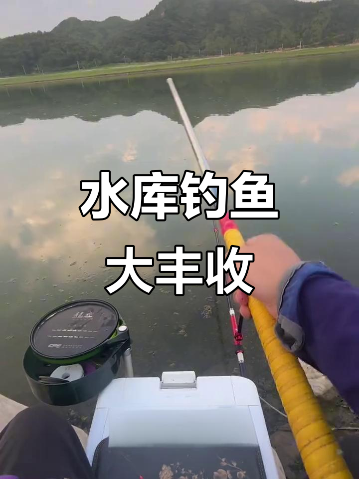 夜钓水库,大鲤鱼和鲫鱼接连上钩!