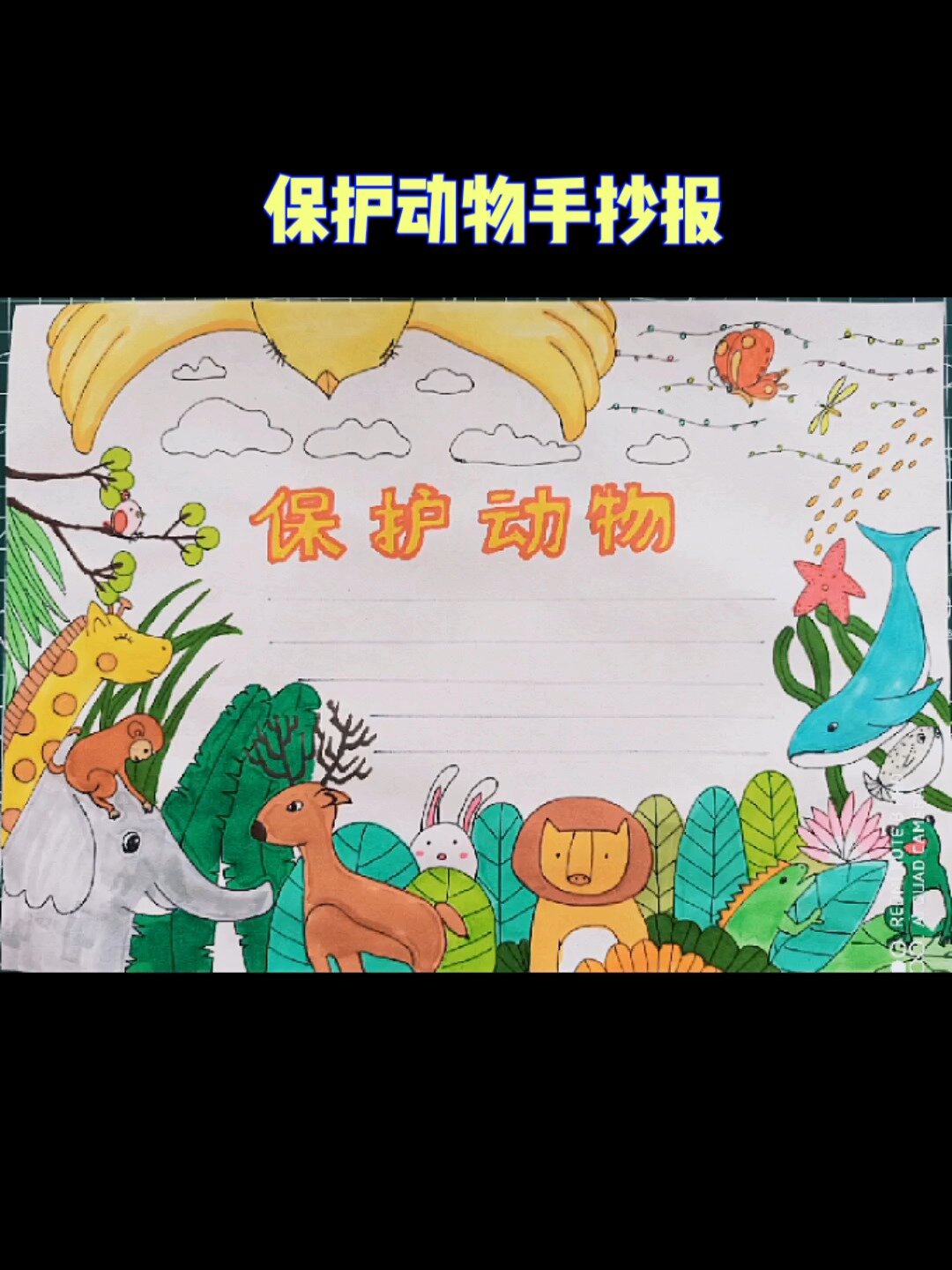 保护动物手抄报cop15