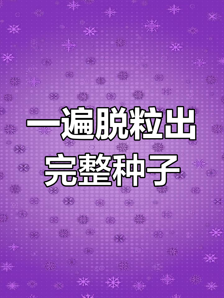 2024新型脱粒机,高效收获油菜籽