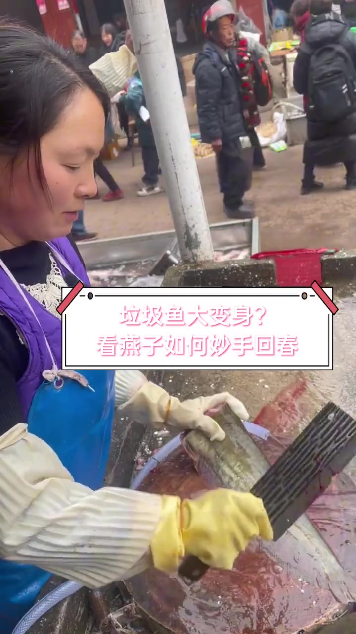 垃圾鱼大变身?看燕子如何妙手回春