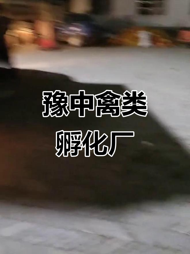 豫中鸡鸭鹅孵化基地,脱温养殖技术全解析