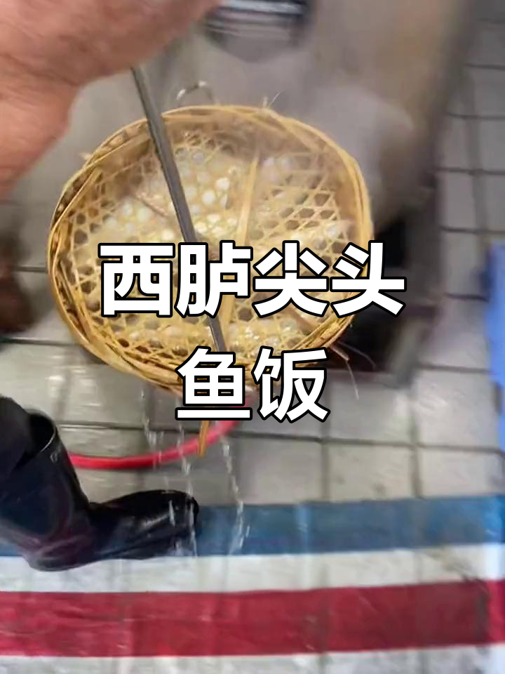 潮汕尖头鱼饭,鲜美饱满的熟鱼美味