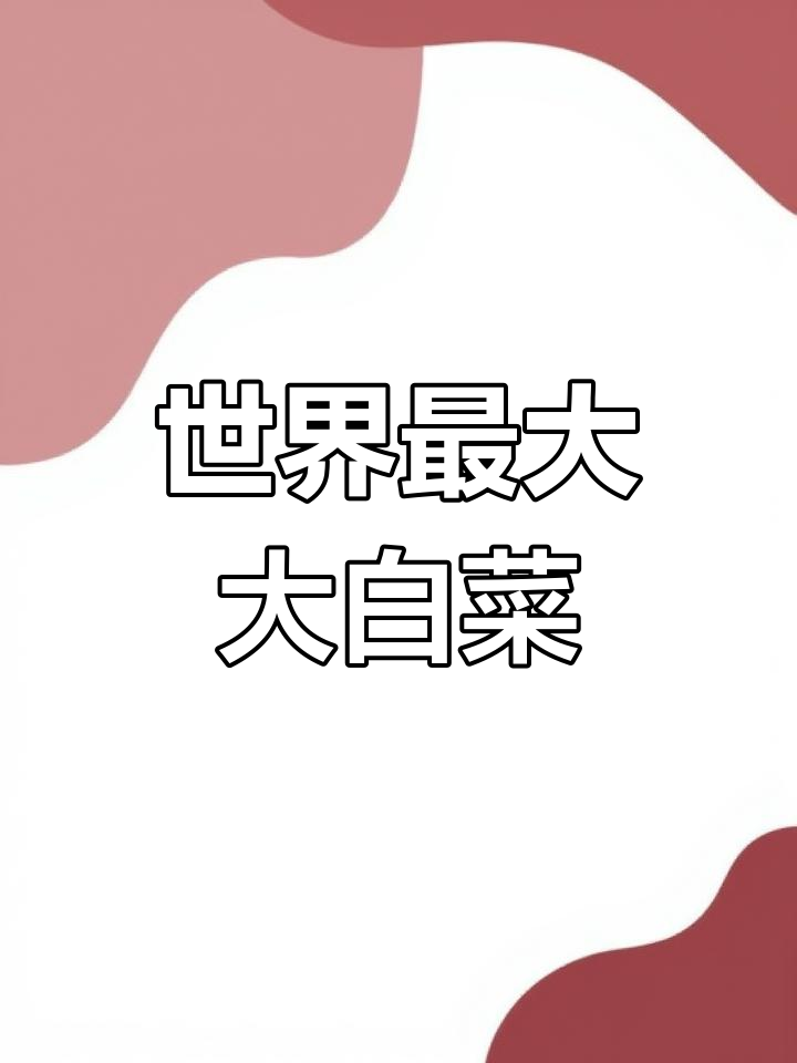 贵州发现50万吨大白菜,传说张果老种下神奇种子
