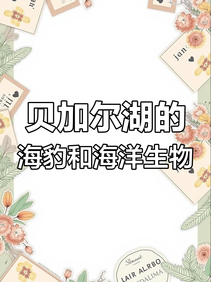 贝加尔湖为何有鲨鱼?揭秘海豹与淡水生物的秘密