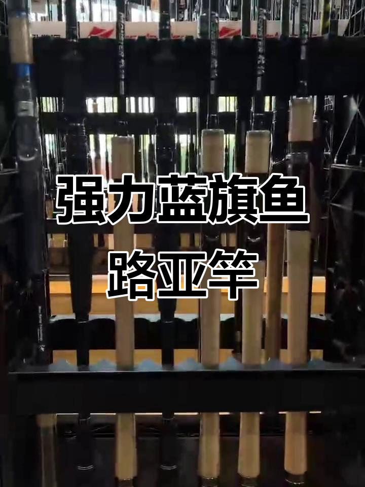 蓝旗鱼怪物路亚竿评测:强劲力度,完美手感