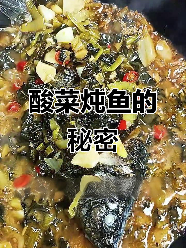 酸菜炖鱼,米饭必备!这道菜的灵魂是酸菜
