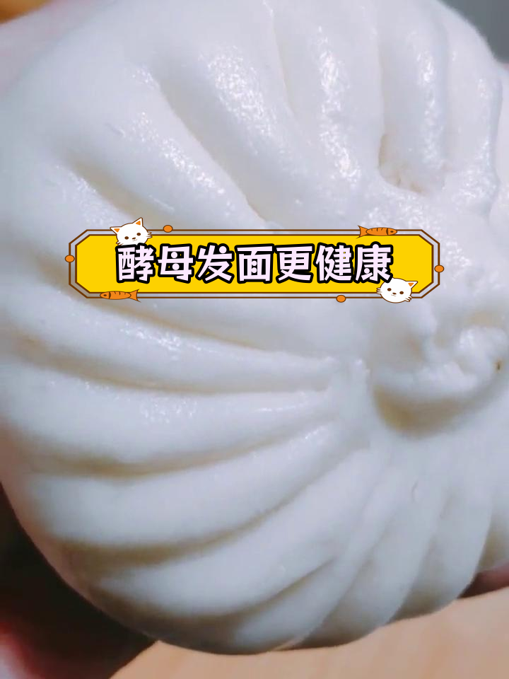 酵母发面与老面发面的营养差异