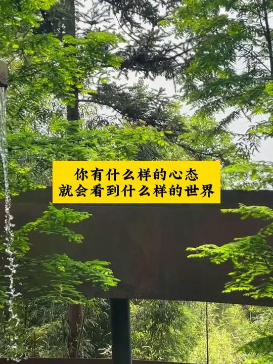 周公解梦之:你有什么样的心态就会看到什么样的世界 国学智慧 曾仕强教授 道德经 曾子