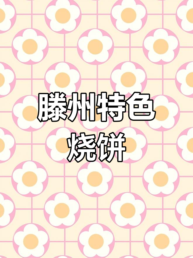 滕州炭火烤烧饼,绿豆芽羊肉卷美味十足