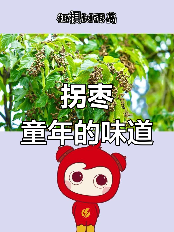 长得像鸡爪的童年野果,你吃过吗?