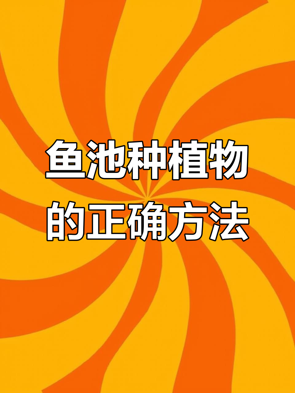 鱼池植物种植技巧大揭秘,如何正确处理铜钱草等水生植物