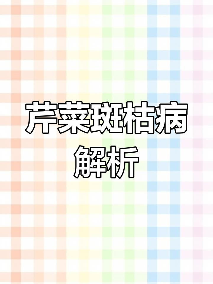 芹菜斑枯病症状与防治方法