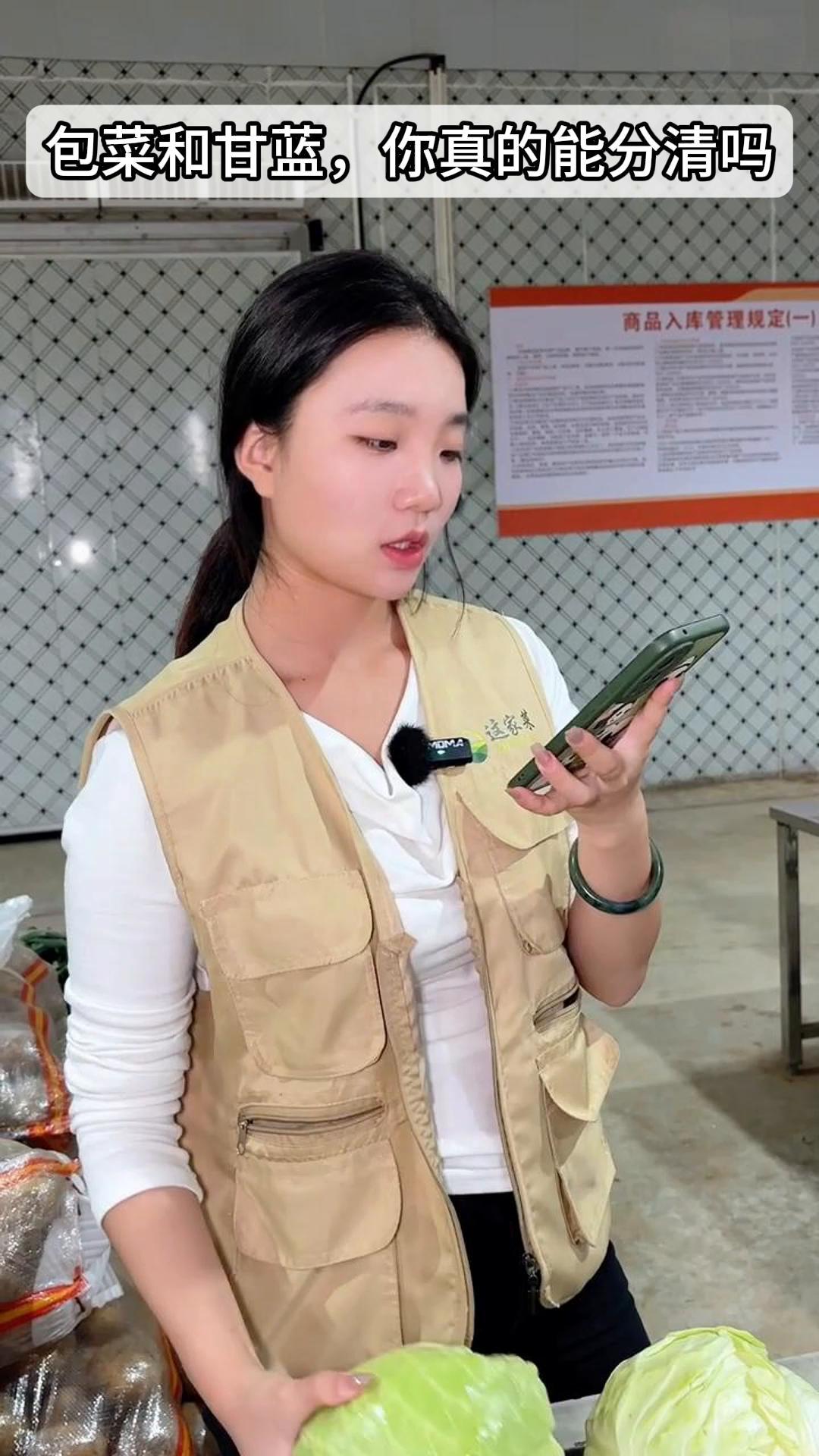 包菜和甘蓝,你真的能分清吗?