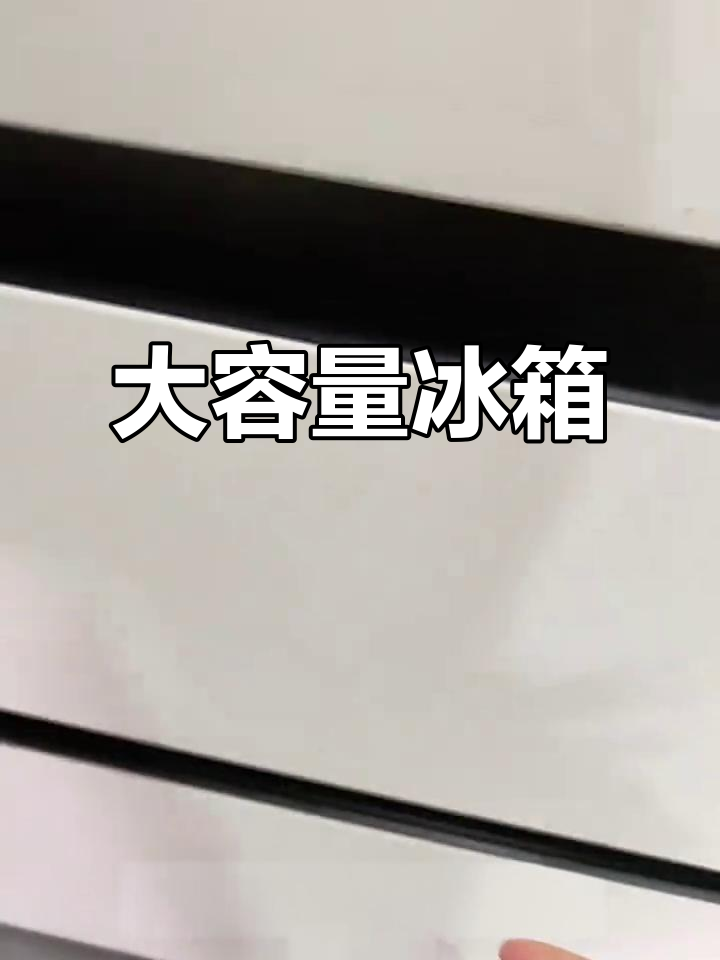 这款冰箱超大空间,连整猪都能放!托盘设计超实用