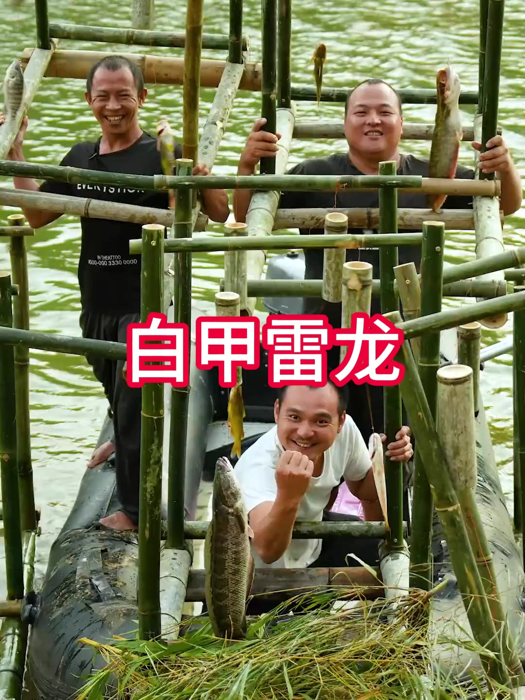 冲锋艇都追不上的白甲雷龙太狡猾了